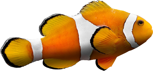 clownfish plugins